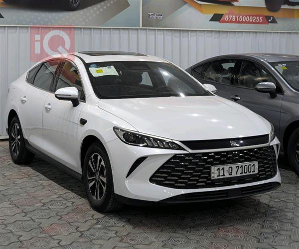 بي واي دي Qin Plus 2025 للبيع في العراق - النجف